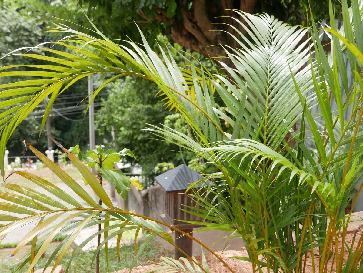 Villa Nilmalee Gampola Exterior foto